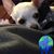 Betsy Sullivan's profile image