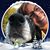 Beth Van Pelt's profile image