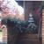Phyllis Grossmann's profile image