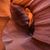 Carlos C. Alzate's profile image