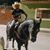 Martin Baro Soltero's profile image