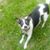Jack Singer's profile image