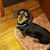 Jodi Grannison's profile image