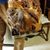 Christine Heinsohn's profile image