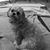 Phun Lee's profile image