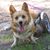 Tauni Beckmann's profile image