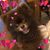 Deb Kaczmar's profile image