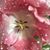 Jennifer Bingaman's profile image