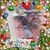 Sylvester Eric Dutton's profile image
