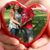 Ada Cabrera Morales's profile image
