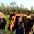 Holly Followell's profile image