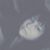 Bridget Cooper's profile image