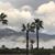 Cherie Wollman Beal's profile image