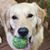 K.T. Ruthven's profile image