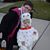 Michal Hope Brandon's profile image