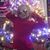 Jennifer Ann Thorson's profile image