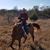 Gene R Barboza Frau's profile image