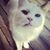 Katie Lofquist's profile image
