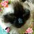 Donna Slick Stephens's profile image
