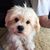 Tonnia Mortenson's profile image