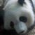 Cristina Flake's profile image