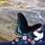 Kemoy Chow's profile image