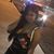 Kacii's profile image