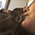 Amy E Ward's profile image