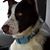Ellen Knipfer Beach's profile image