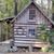 Pamela C. Poole's profile image