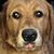 Colleen McCall Cole's profile image