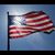 Gladys Gryskiewicz's profile image
