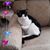 Deb Margarucci's profile image