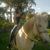 Carolina Rodriguez's profile image