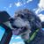 KarlandDorene Dotson Bick's profile image