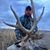 Kyle Gehrs's profile image