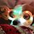 Melissa Thill Jones's profile image