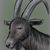 Christopher Wiig's profile image