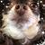 George Stabile's profile image