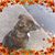 Jamie Harris's profile image