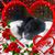 Christy Kirk's profile image