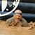 Robert Goudie's profile image