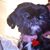Michelle Hartman's profile image