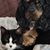 Cheryl Jarema's profile image
