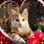 Robert Lefevers's profile image