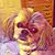 Kari Hull Brignac's profile image