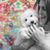Christiane Millinger's profile image