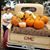 Lacey J Coan's profile image