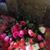 Jose Luis Sanchez's profile image