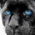 Tammy McMahan Barnhardt's profile image